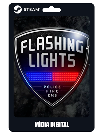 Flashing Lights Police Fire EMS