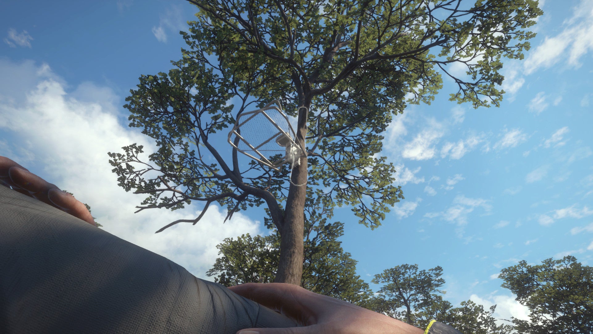 theHunter Call of the Wild - Treestand & Tripod Pack DLC