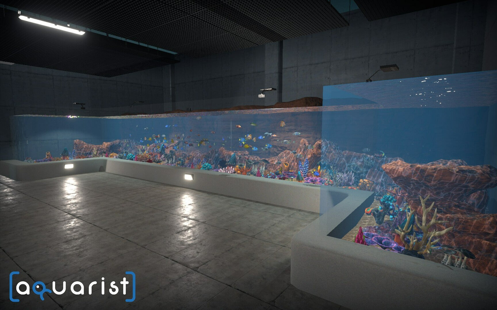 Aquarist