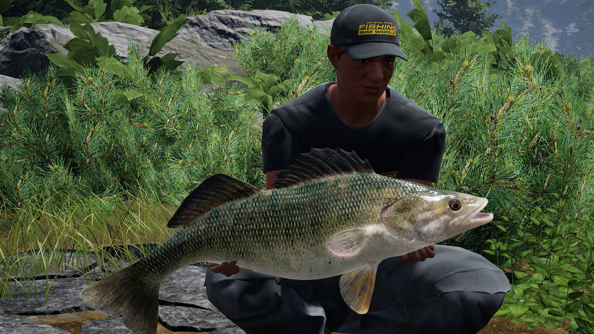 Fishing Sim World: Pro Tour - Quad Lake Pass DLC