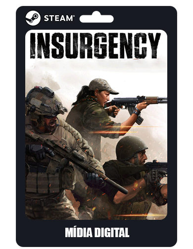 Insurgency