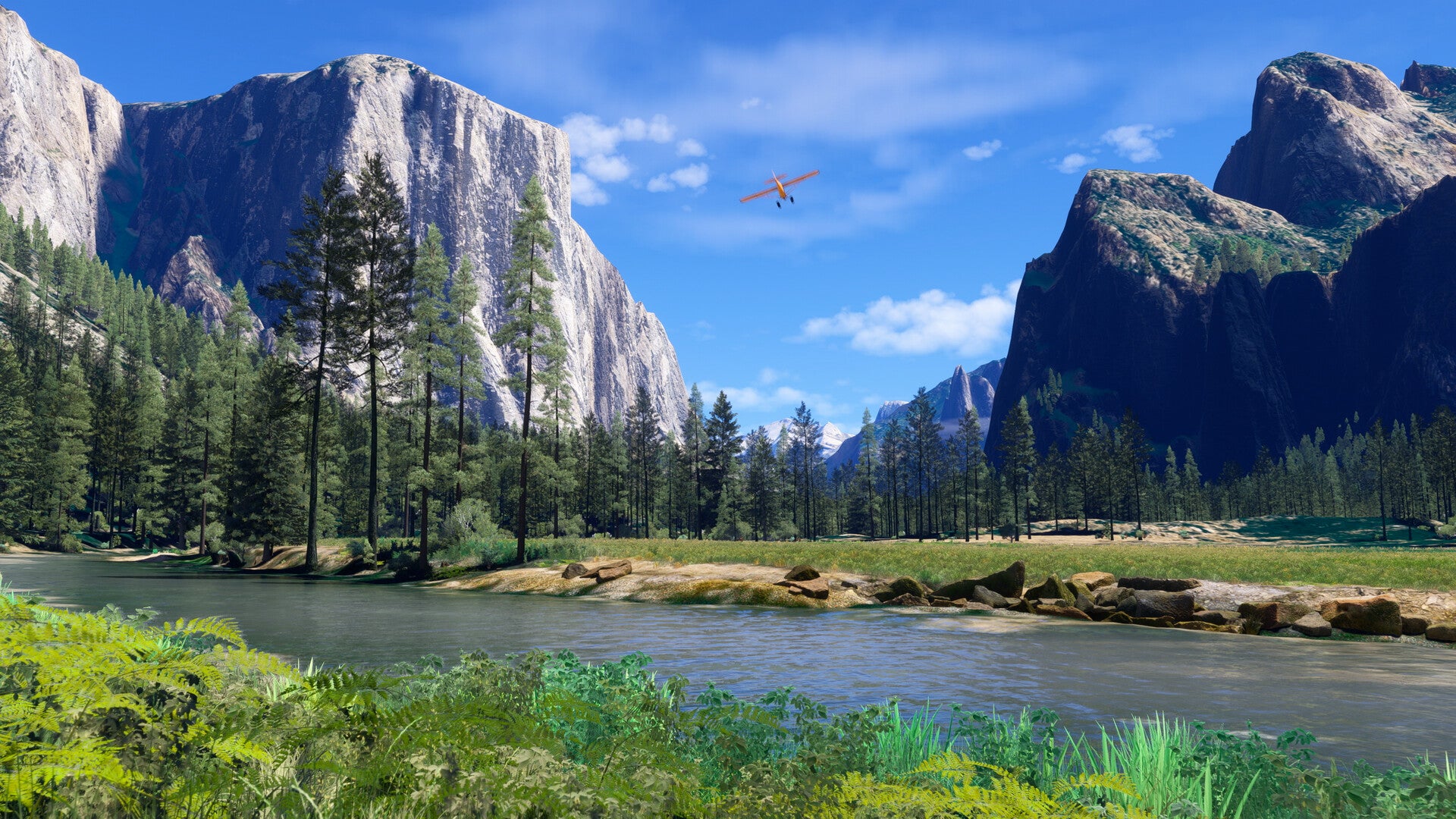 Microsoft Flight Simulator 2024 Aviator Edition