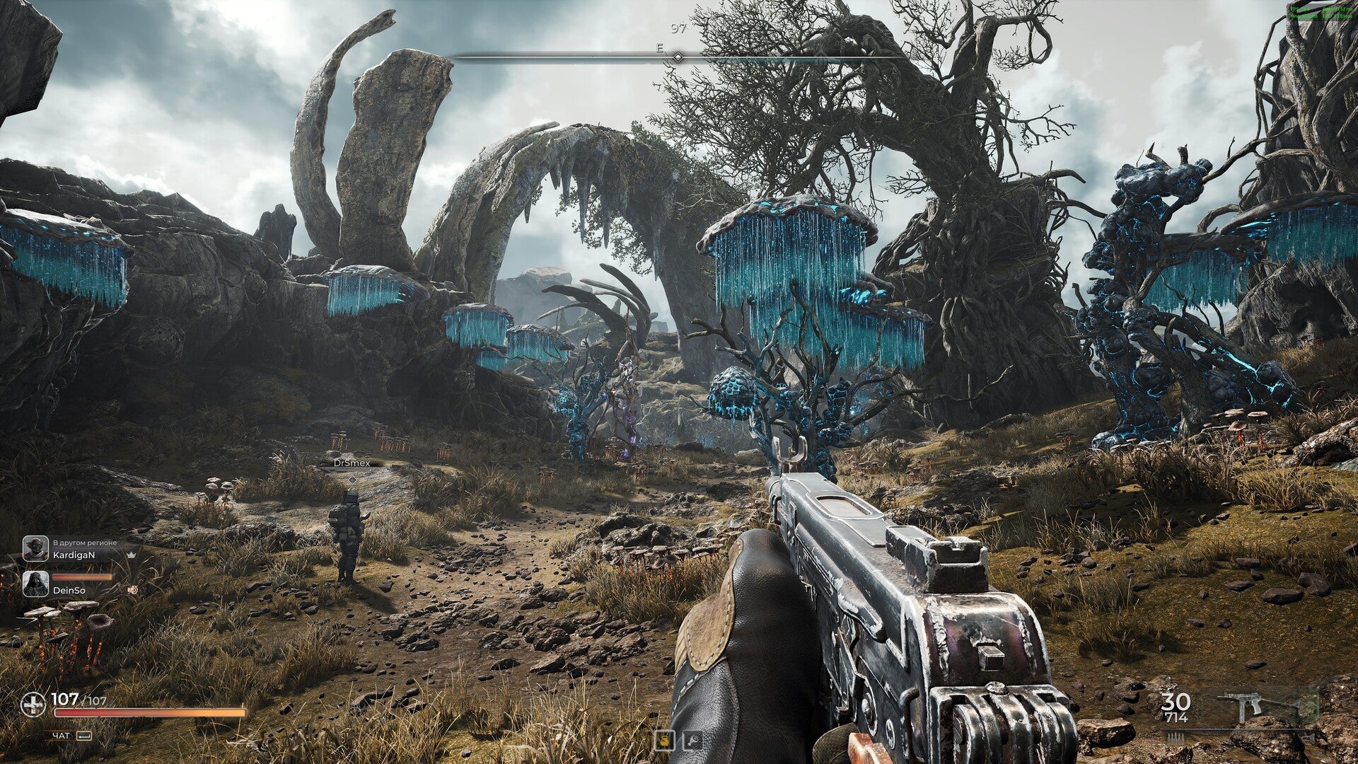 PIONER Deluxe Edition