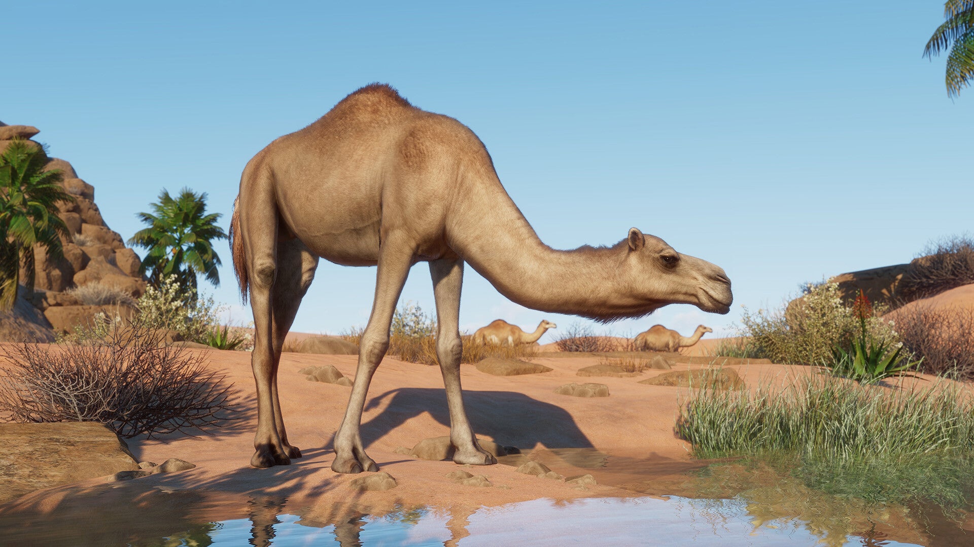 Planet Zoo - Arid Animal Pack DLC