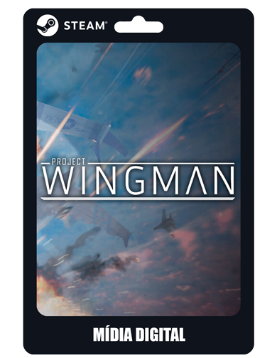 Project Wingman