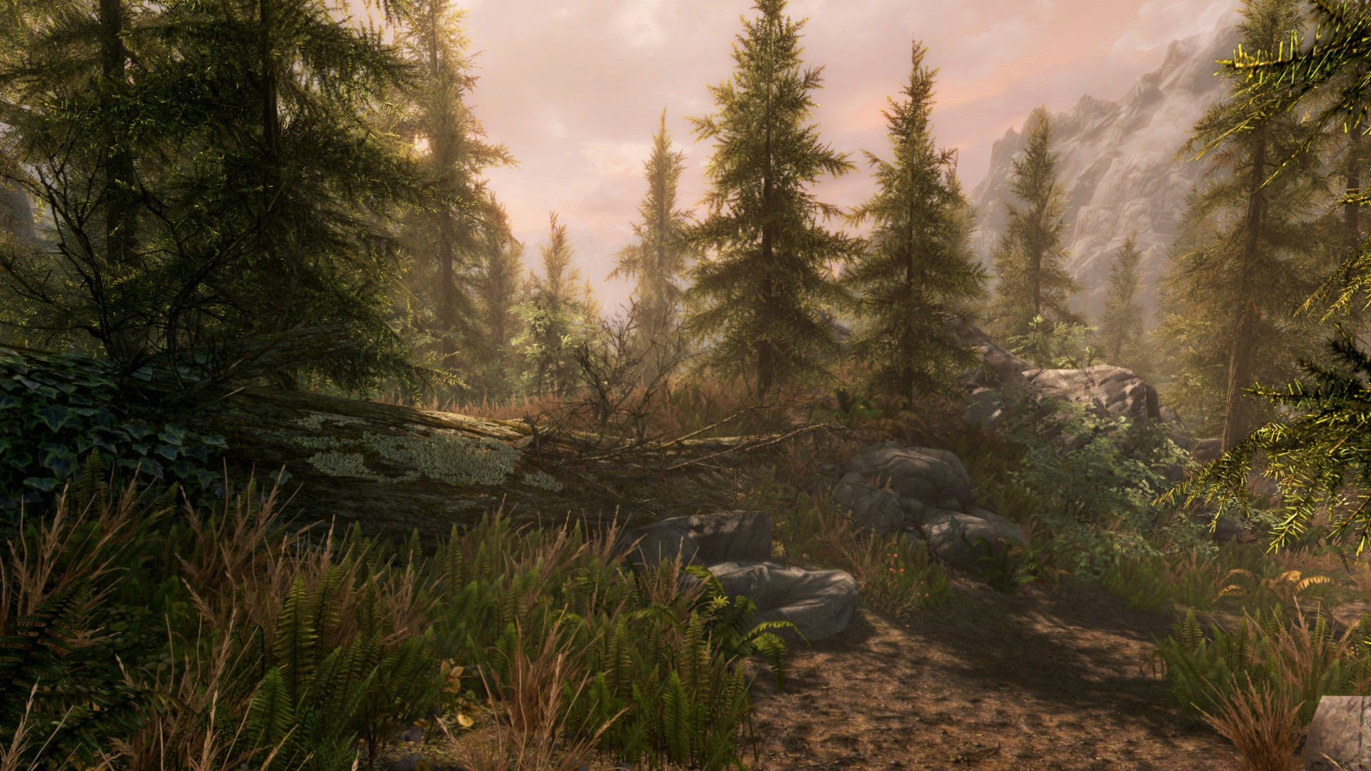 The Elder Scrolls V Skyrim Special Edition LATAM & CIS & ASIA