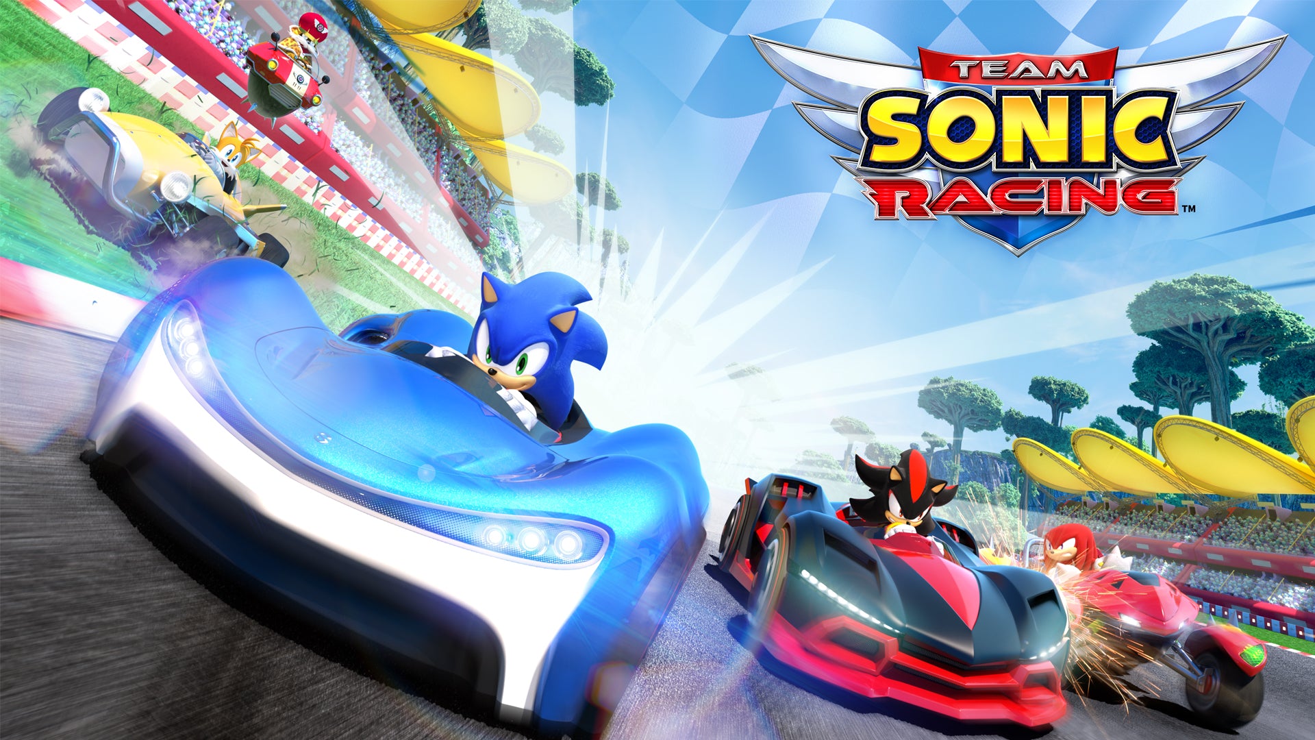 Team Sonic Racing