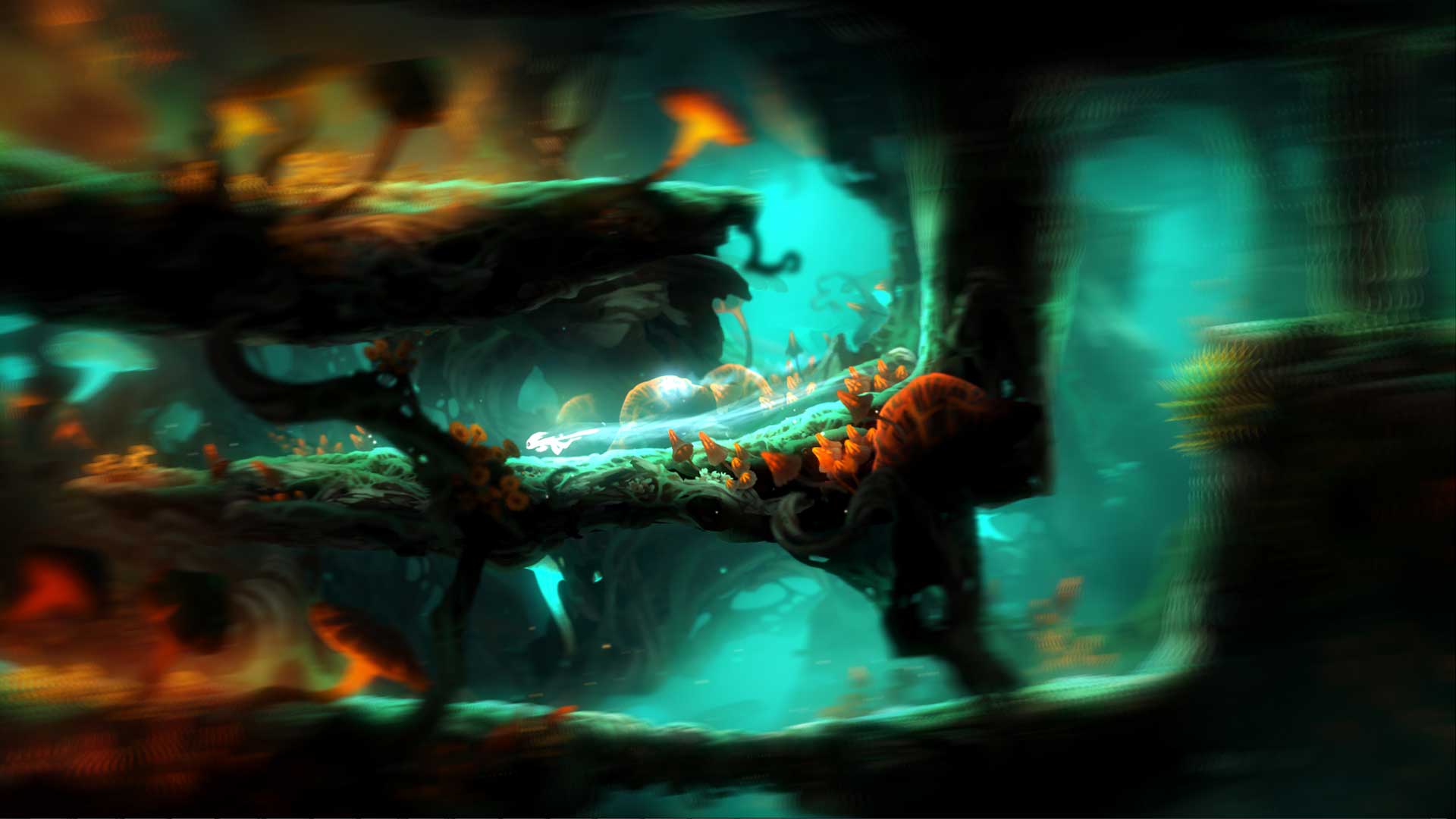 Ori and the Blind Forest Definitive Edition