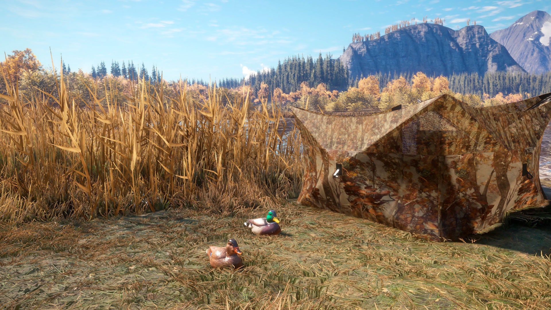 theHunter Call of the Wild - Duck and Cover Pack DLC