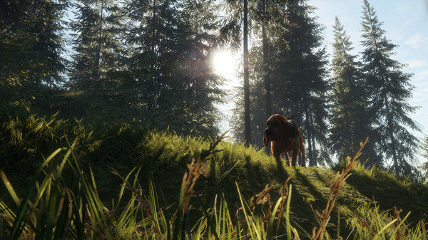 theHunter Call of the Wild - Bloodhound DLC