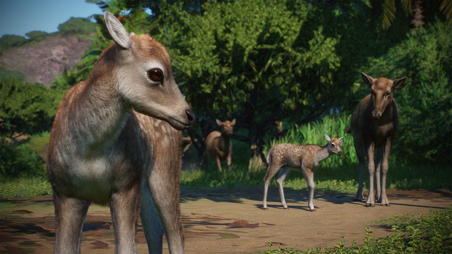Planet Zoo: Asia Animal Pack DLC