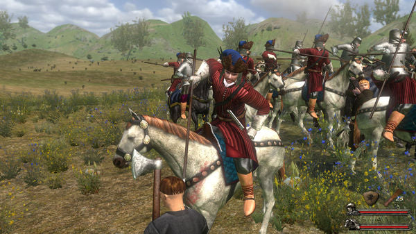 Mount & Blade With Fire and Sword Wild Fields