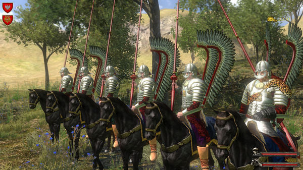 Mount & Blade With Fire and Sword Wild Fields
