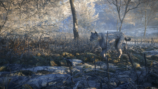 theHunter Call of the Wild - Medved Taiga DLC