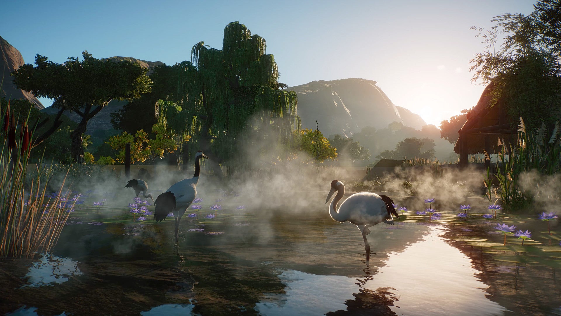 Planet Zoo: Wetlands Animal Pack DLC