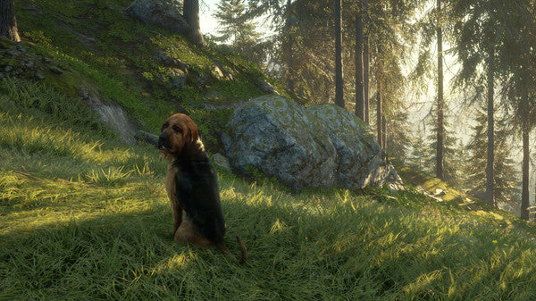 theHunter Call of the Wild - Bloodhound DLC