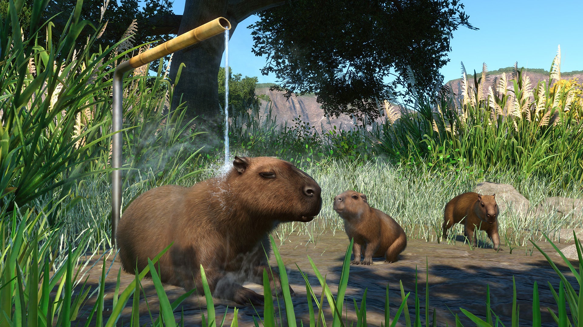 Planet Zoo: Wetlands Animal Pack DLC