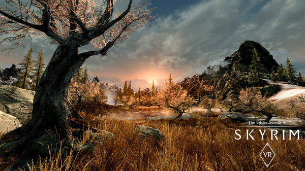 The Elder Scrolls V Skyrim VR