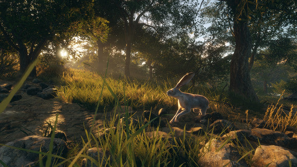 theHunter Call of the Wild - Rancho del Arroyo DLC