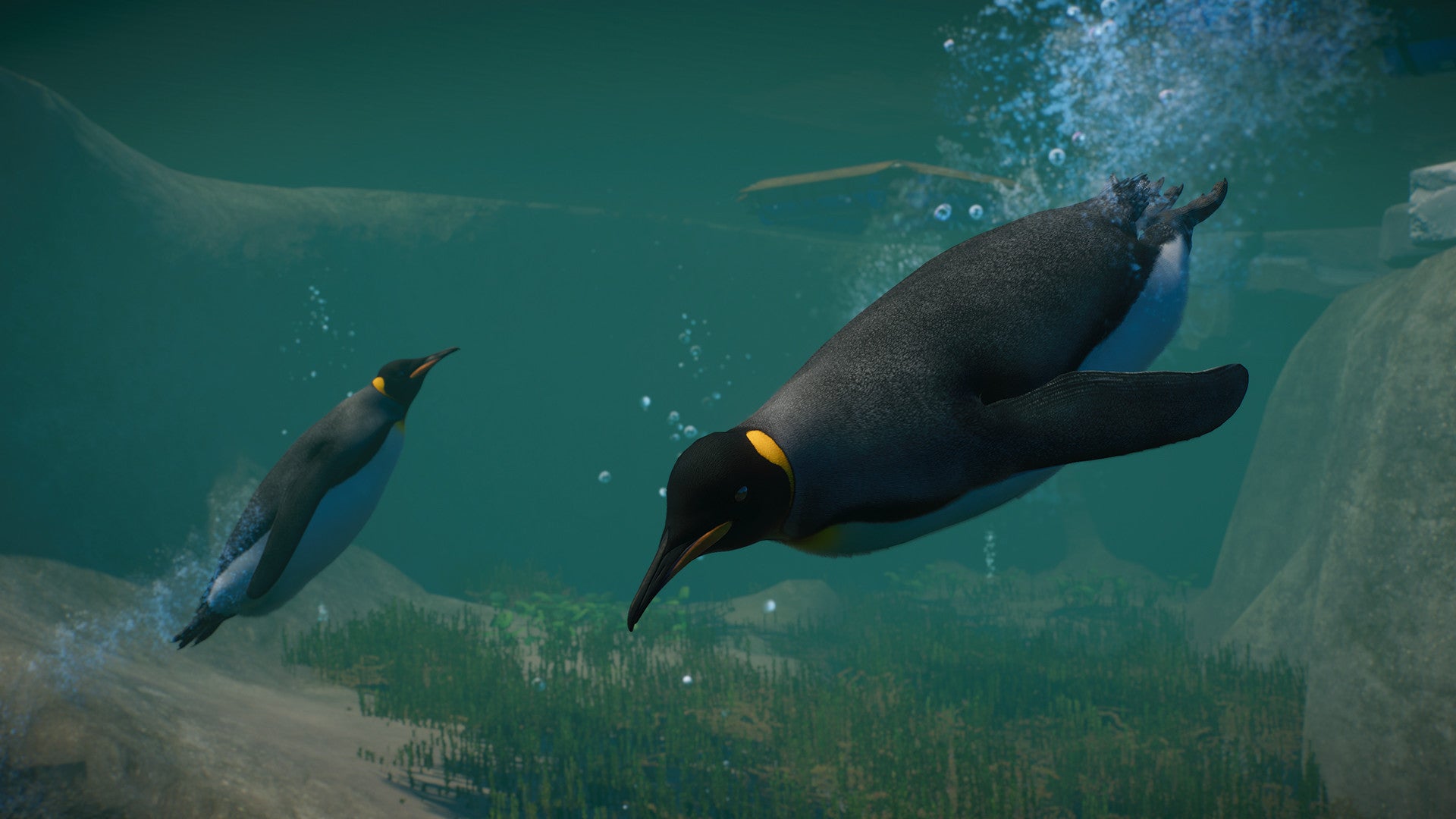 Planet Zoo: Aquatic Pack DLC