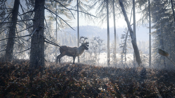 theHunter Call of the Wild - Medved Taiga DLC