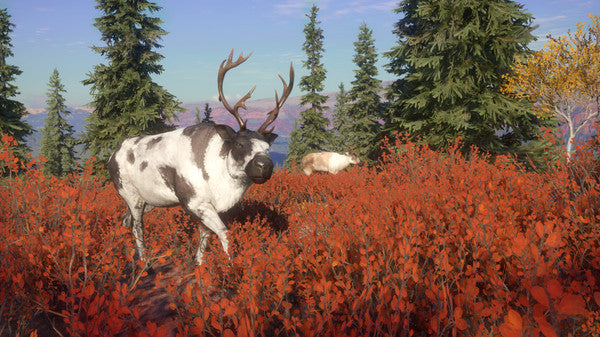 theHunter Call of the Wild - Yukon Valley DLC