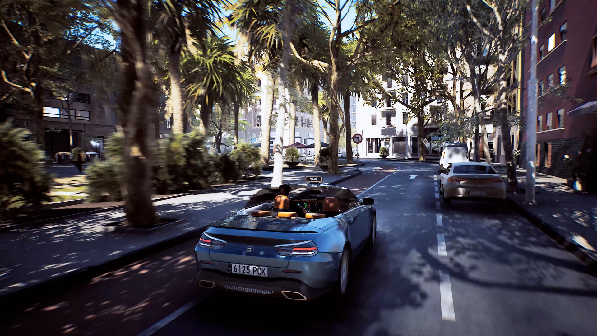 Taxi Life: A City Driving Simulator - VIP City Guide DLC