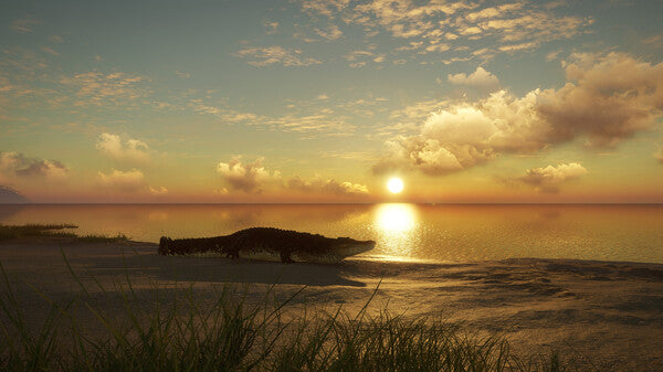 theHunter: Call of the Wild - Emerald Coast Australia LATAM