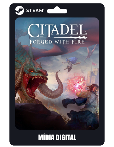 Citadel: Forged with Fire