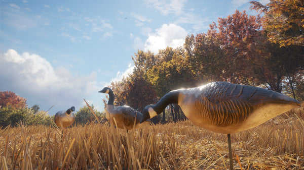 theHunter Call of the Wild - Wild Goose Chase Gear DLC