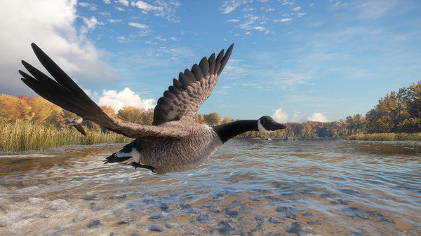 theHunter Call of the Wild - Wild Goose Chase Gear DLC