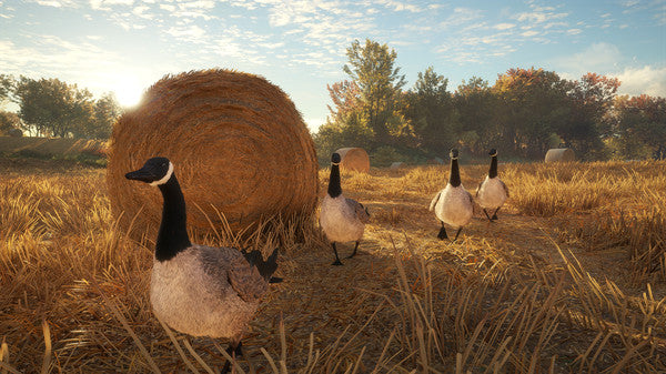 theHunter Call of the Wild - Wild Goose Chase Gear DLC