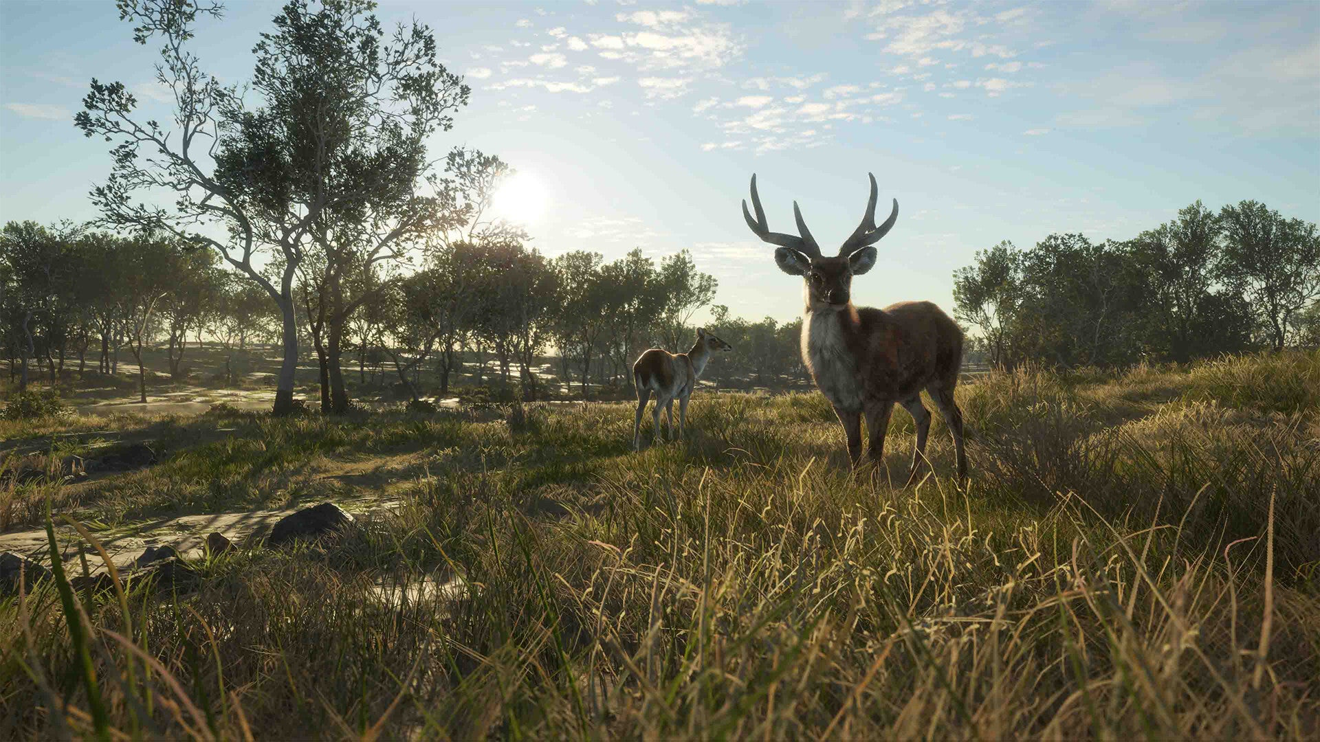 theHunter Call of the Wild - Emerald Coast Australia DLC