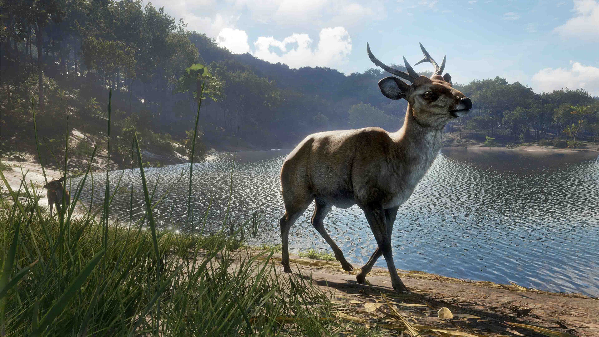 theHunter Call of the Wild - Emerald Coast Australia DLC