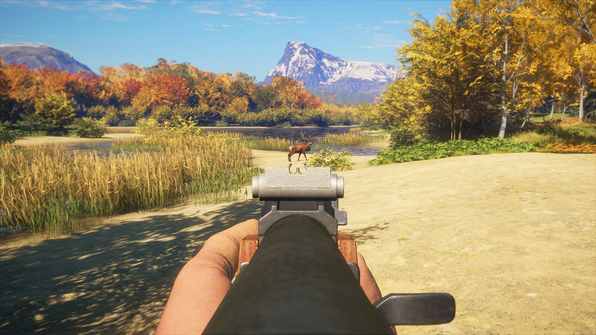 theHunter: Call of the Wild - Rapid Hunt Rifle Pack DLC