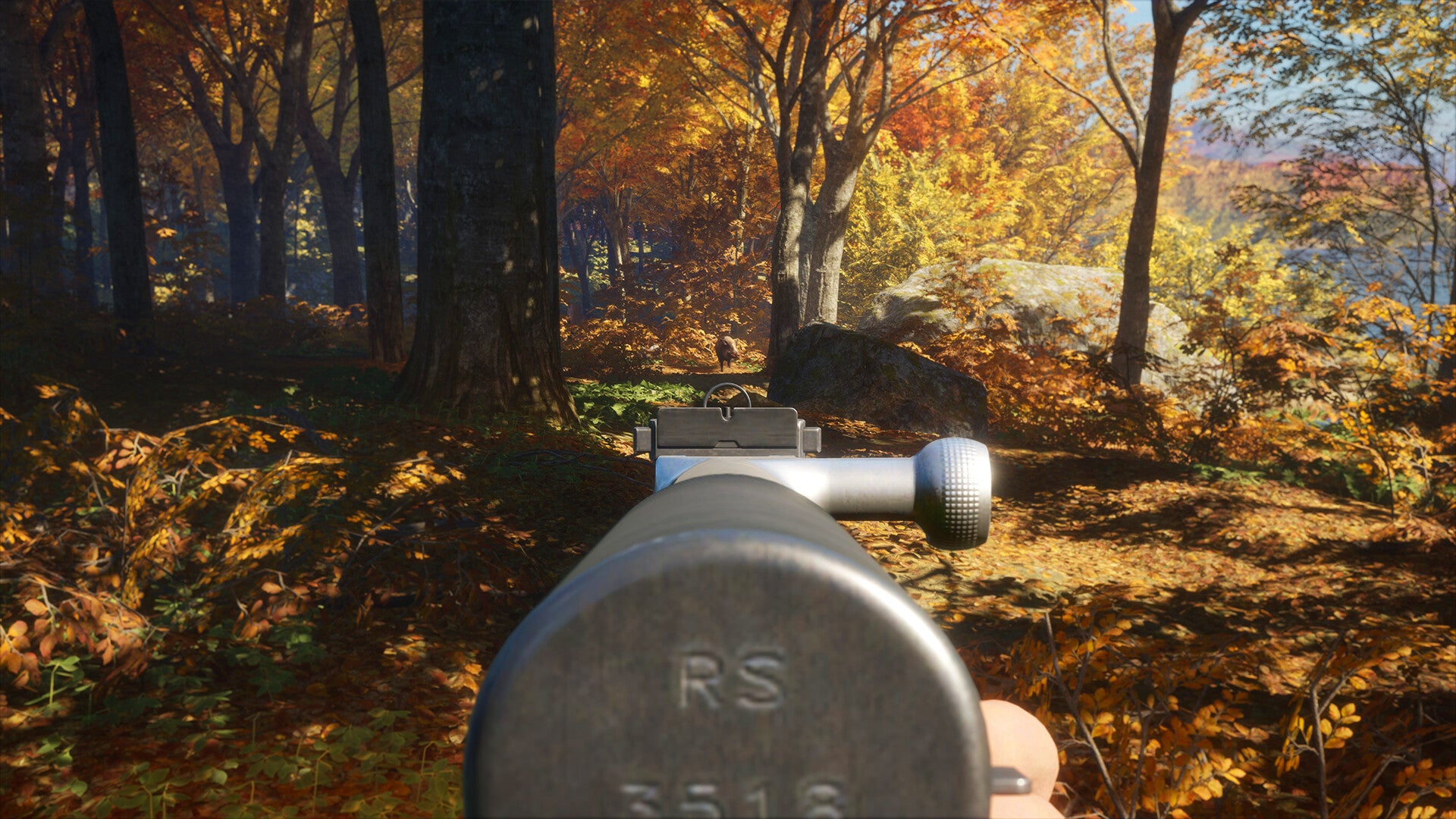 theHunter: Call of the Wild - Rapid Hunt Rifle Pack DLC
