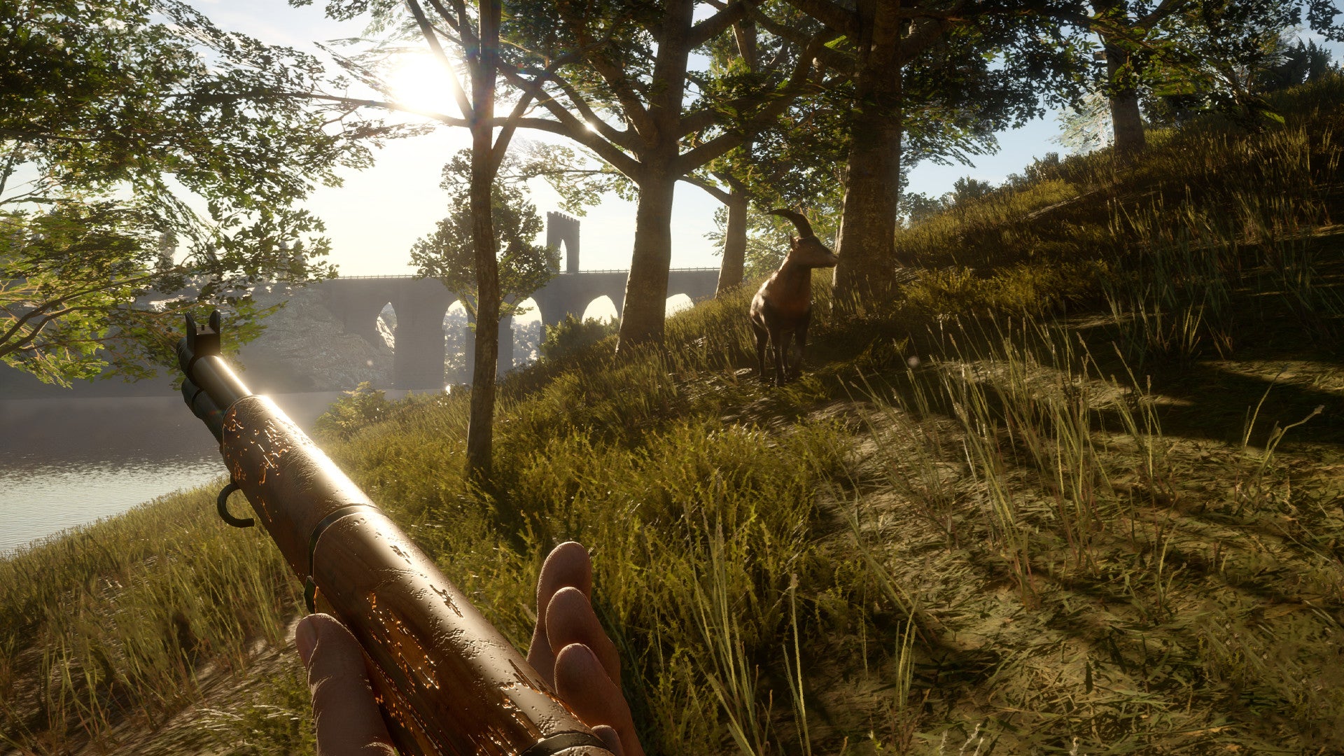 theHunter Call of the Wild - Smoking Barrels Weapon Pack DLC