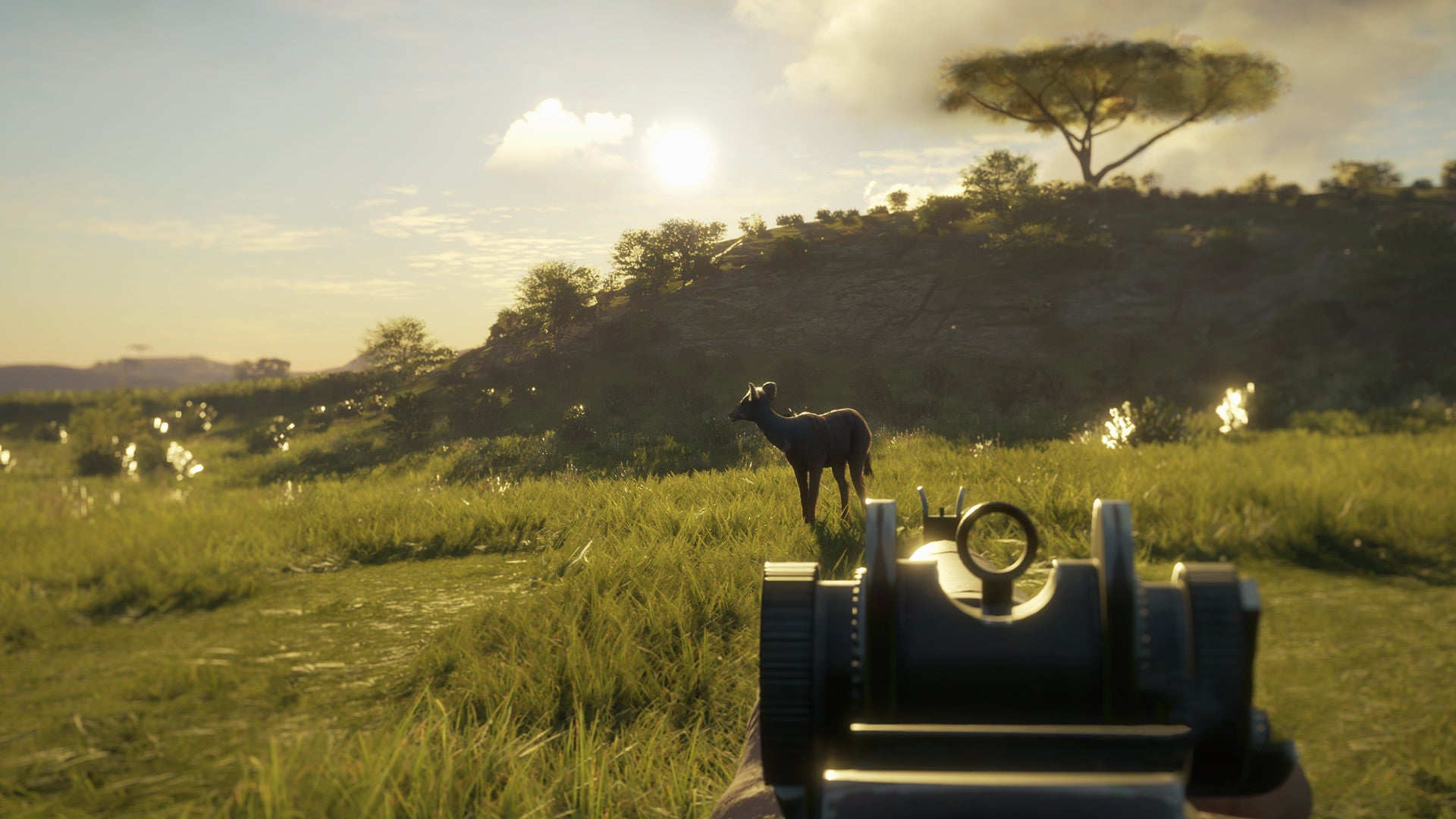 theHunter Call of the Wild - Smoking Barrels Weapon Pack DLC