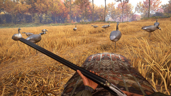 theHunter Call of the Wild - Wild Goose Chase Gear DLC