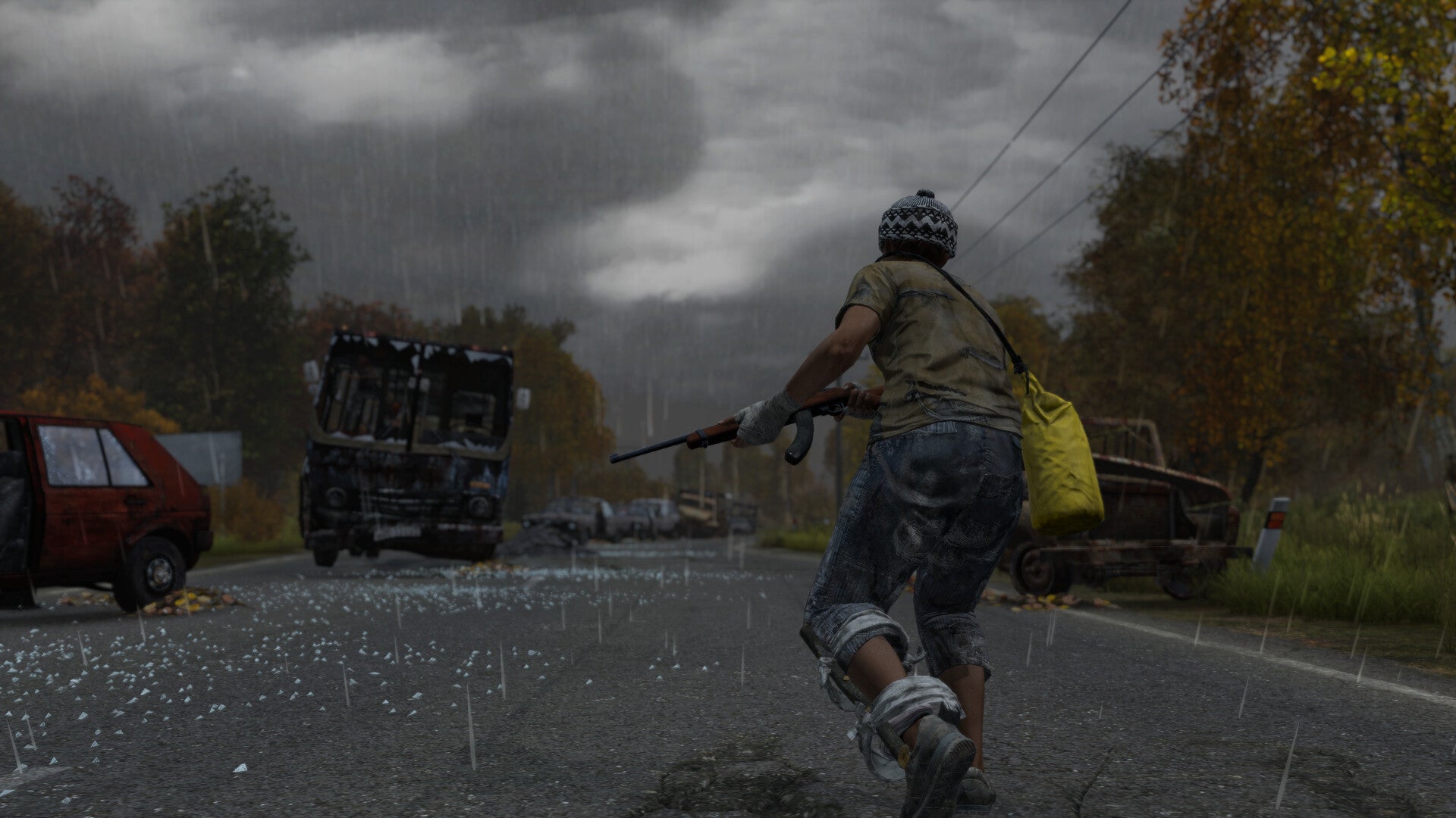 DayZ