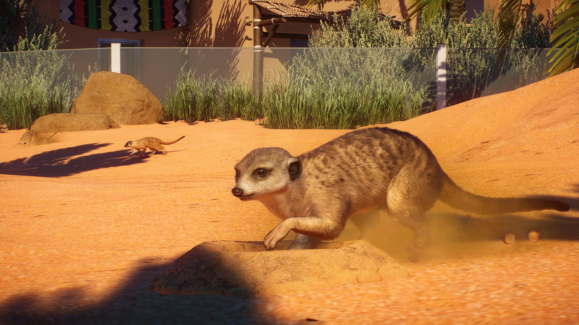 Planet Zoo: Africa Pack DLC